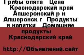 Грибы опята › Цена ­ 350 - Краснодарский край, Апшеронский р-н, Апшеронск г. Продукты и напитки » Домашние продукты   . Краснодарский край